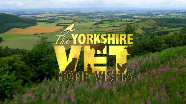 The Yorkshire Vet - Home Visits